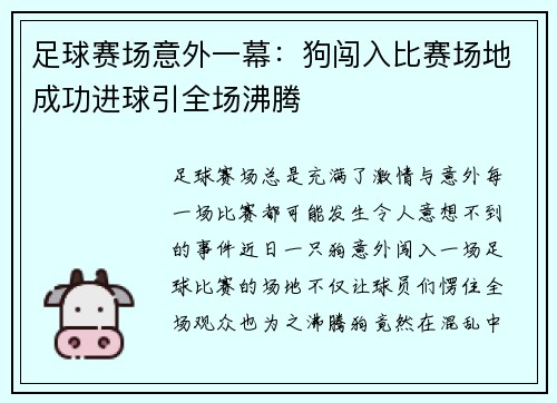 足球赛场意外一幕：狗闯入比赛场地成功进球引全场沸腾