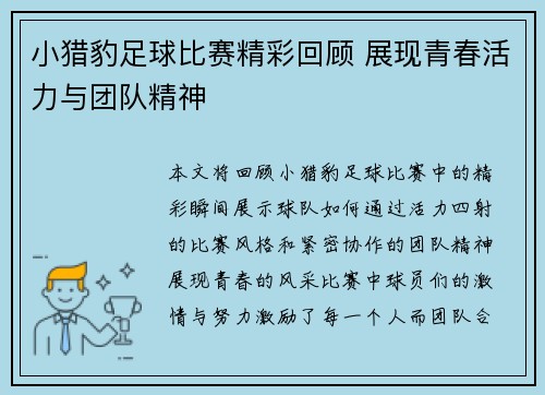 小猎豹足球比赛精彩回顾 展现青春活力与团队精神