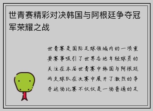 世青赛精彩对决韩国与阿根廷争夺冠军荣耀之战