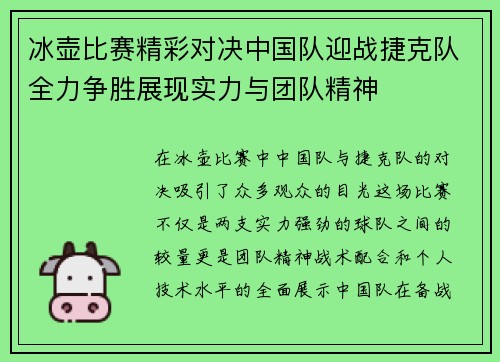 冰壶比赛精彩对决中国队迎战捷克队全力争胜展现实力与团队精神