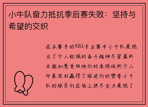 小牛队奋力抵抗季后赛失败：坚持与希望的交织