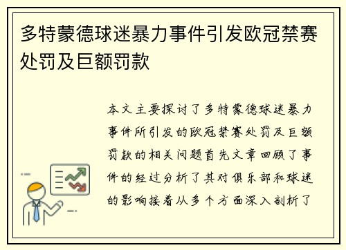 多特蒙德球迷暴力事件引发欧冠禁赛处罚及巨额罚款